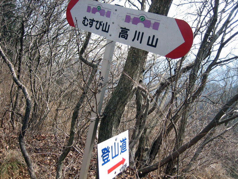 高川山